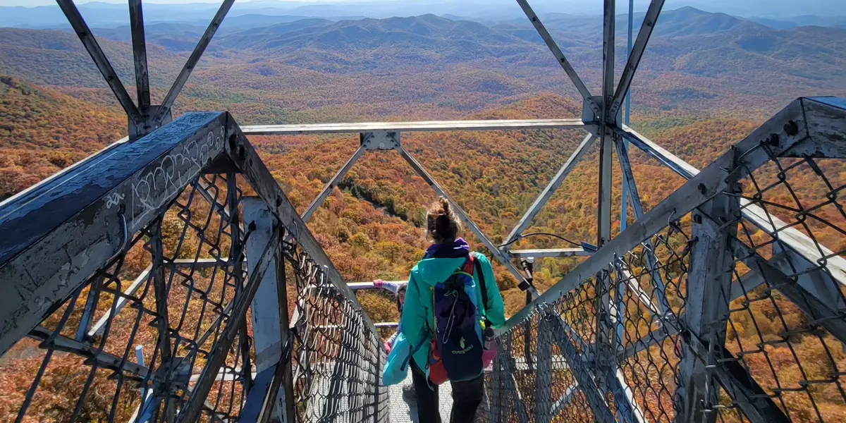 There's a town in North Carolina that I visit every fall: Brevard 1 There's a town in North Carolina that I visit every fall: Brevard